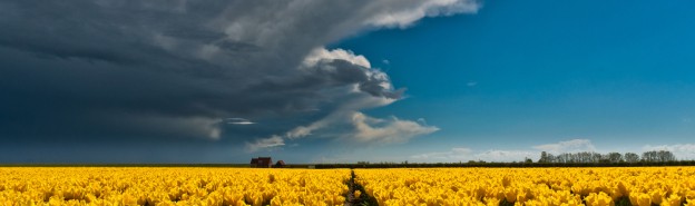 nieuwetongebattenoord