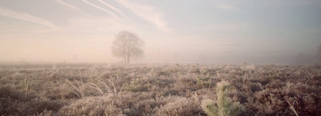 Bevroren grond